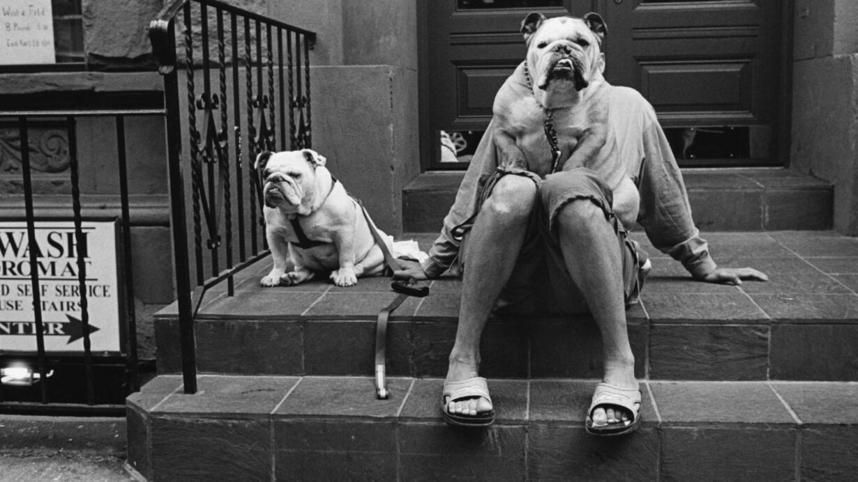 ‘Dog Dogs’ in Toulon. Courtesy of Magnum Photos