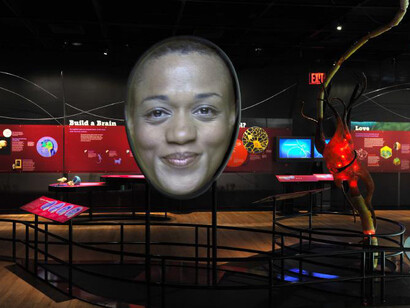 Brain: The Inside Story. Courtesy of Canadian Museum of Nature