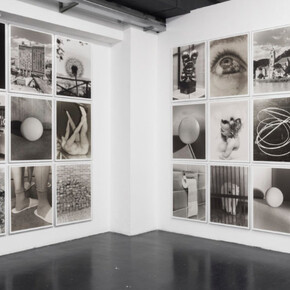 Eggs and rarities. Courtesy of Otto Zoo