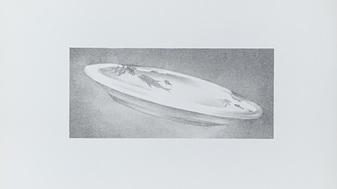 Ed Ruscha
Dish (Engberg 67)
Lithograph on BFK Rives paper Signed and numbered in pencil Edition of 250
10.12 x 13.62 inches
1973
   
