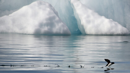 Le temperature degli oceani