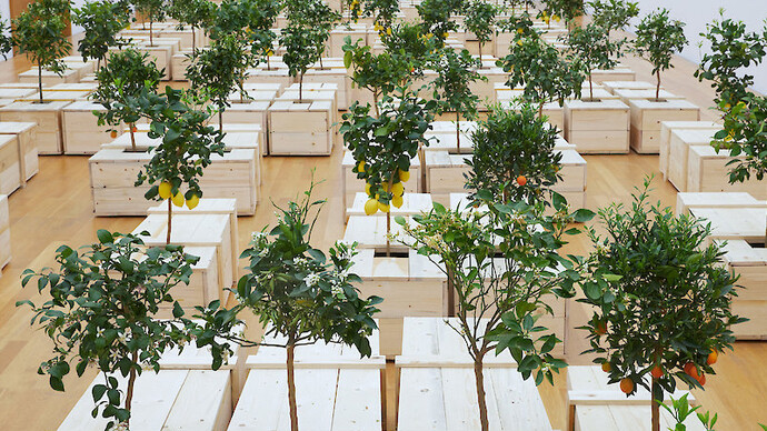 Yoko Ono. Courtesy of Museum der bildenden Künste Leipzig
