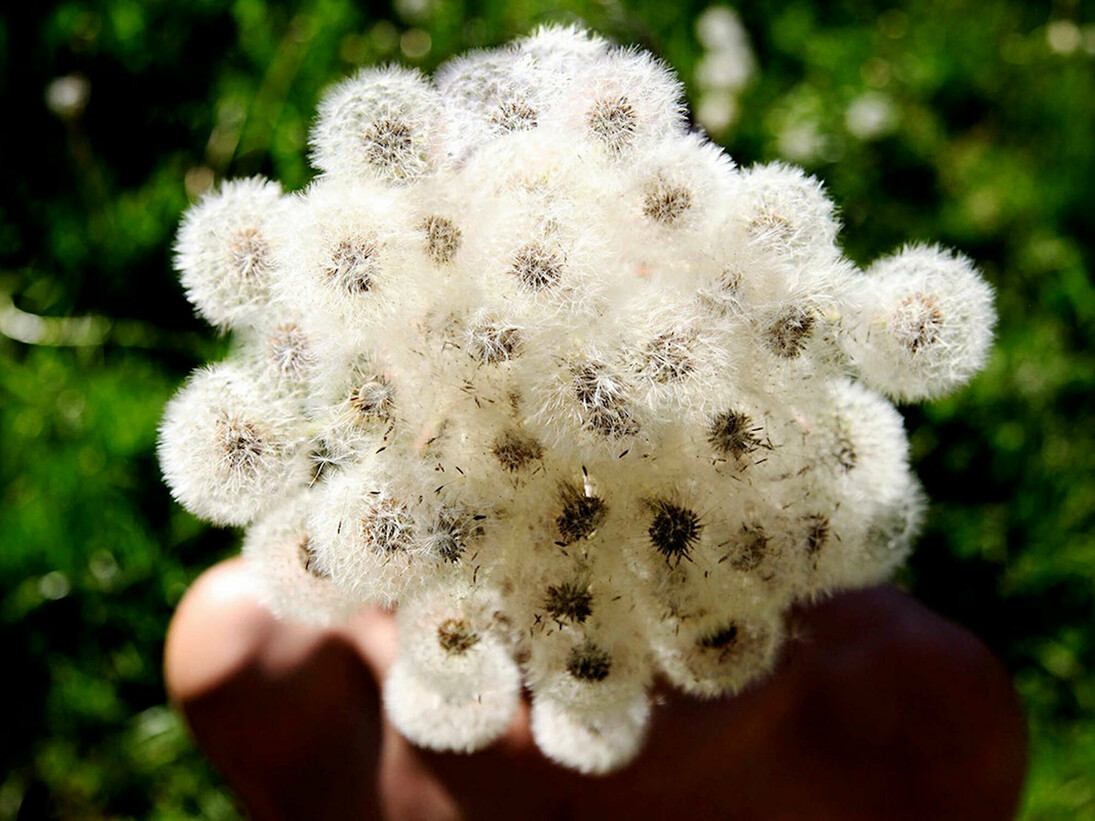 Besides colonisation. Courtesy of © Galería José de la Fuente