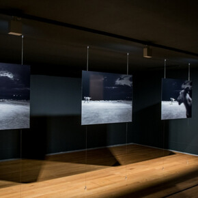 Photo-Metragens. Courtesy of Museu Coleção Berardo