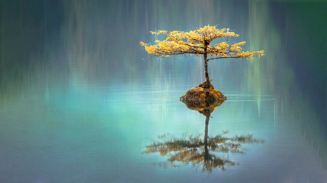 Our conditions change day by day