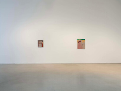 Rezi van Lankveld, Premonitions, exhibition view. Courtesy of Petzel