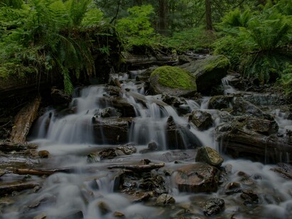 A waterfall caressing and bathing all the rocks around it