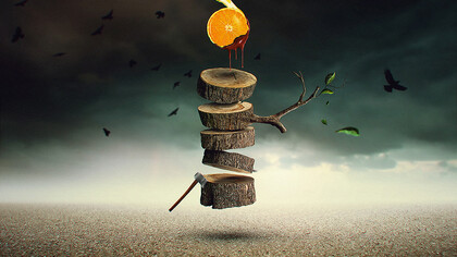 Elton Fernandes, The orange tree