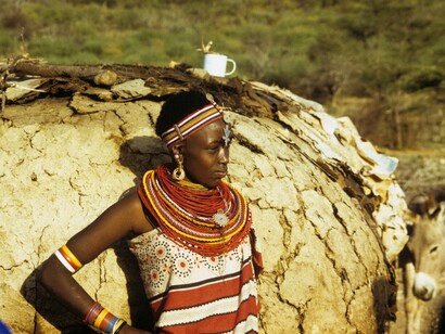 The beauty of diversity