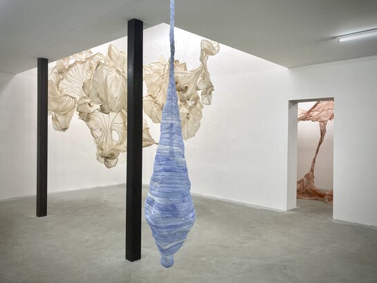 Obras de Diana Orving  «Överskridande» — (Desbordamiento), «Behållare» — (Recipiente) y «Följe» — (Acompañante) en la exposición de la Galería Arnstedt, 2021. La galería está en Östra Karup, un pueblo situado en la península de Bjäre, en el sur de Suecia

