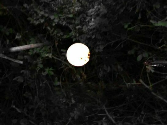 Nicholas Brooks, Slowly I was Taken, 2011, Still, Courtesy the artist
