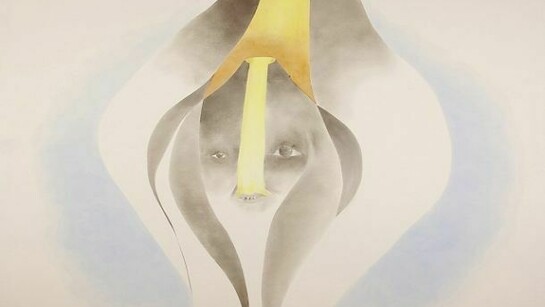 Enrico David, "Mother Tunnel", 2013, Acrylic on canvas, 109 1/2 x 112 1/2 inches