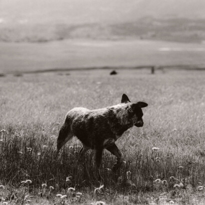 Michael Crouser. Courtesy of ClampArt