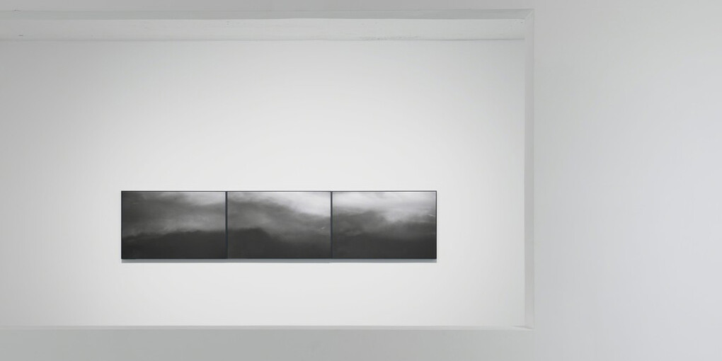 Silky Beauty. Courtesy of Amy Li Gallery