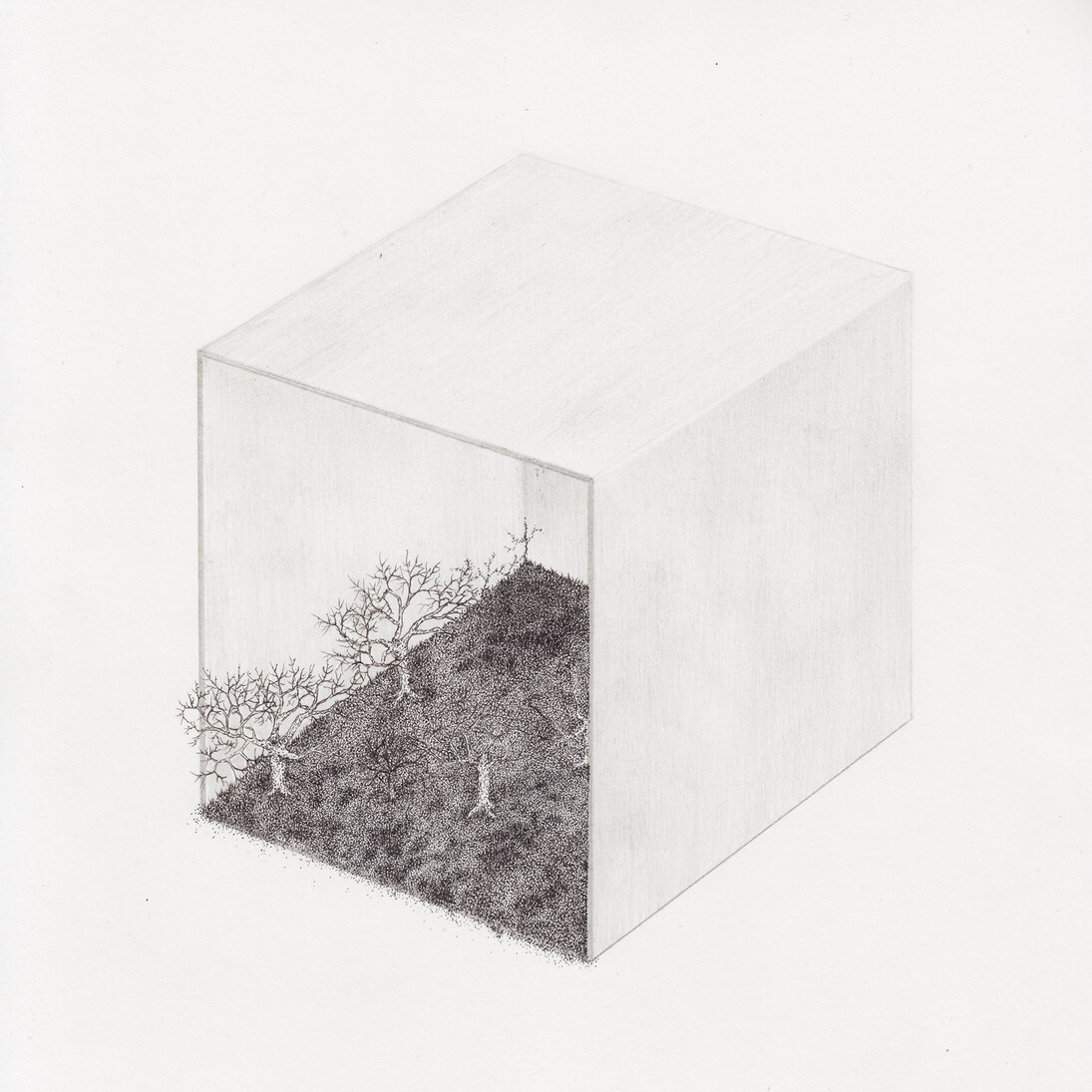 Tony Savas, 'Receptacle', Ink on Paper