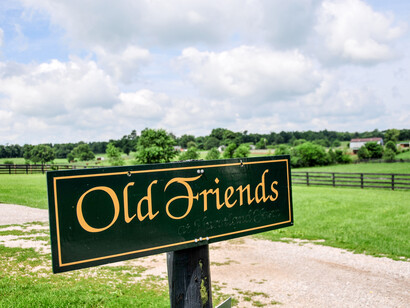 Finding old friends
