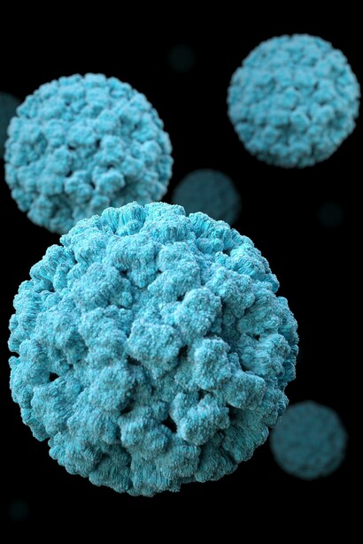 Viriones de norovirus