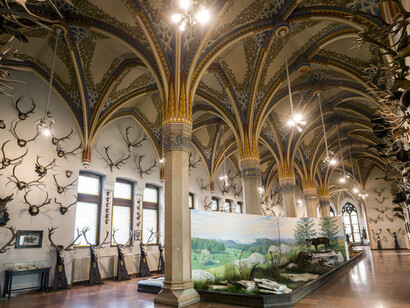 Hunting exhibition. Courtesy of Museum and Library of Hungarian Agriculture
