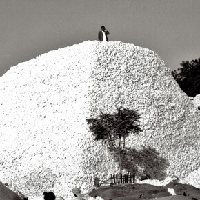 Montagna di cotone a Khamgaon, India centrale, 1948 ca.
Il cotone viene conservato nell’India centrale, quindi trasportato sulla costa, trasferito via mare e lavorato in Europa. L’azienda Volkart commercia in cotone indiano, ma dagli anni Trenta subisce grandi perdite, a causa della crisi economica mondiale e del movimento indipendentista indiano.

Copyright: Ernst Würgler, ex tecnico operativo presso l’azienda Volkart. Su cortesia di Madeleine Gerber-Würgler, Winterthur.