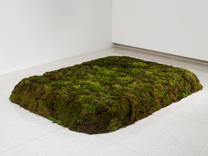 An Untitled Installation Conceived by Robert Gober. Courtesy of Aspen Art Museum
