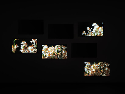 Amar Kanwar, Co-travellers, exhibition view. Courtesy of Punta della Dogana