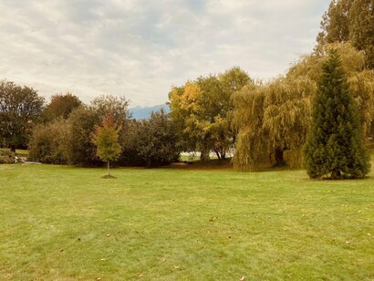 There is a strange, quiet comfort in walking through a neighborhood built for veterans of another era's housing shortage © Photo by John Macanas