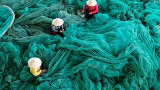 Donne vietnamite che lavorano alla realizzazione di una grande rete verde
