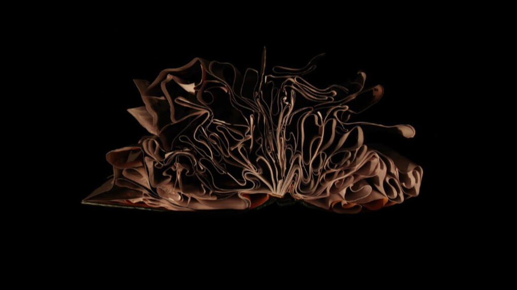 Richard Finkelstein. Courtesy of Robert Mann Gallery