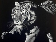 Burning Bright by Julie Chapman, Scratchboard	
Size: 66cm x 76cm (26" x 29.9")