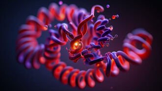 Die Proteinstruktur des Myoglobins in 3D-Sicht wurde erstmals von John Kendrew beschrieben