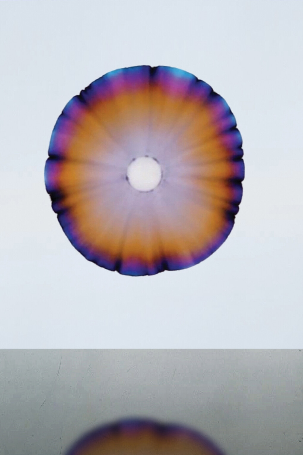 Troika, Time only exists so not everything happens at once, 2014, Video projection 3:25min, image Courtesy of the Artist and Hanmi Gallery