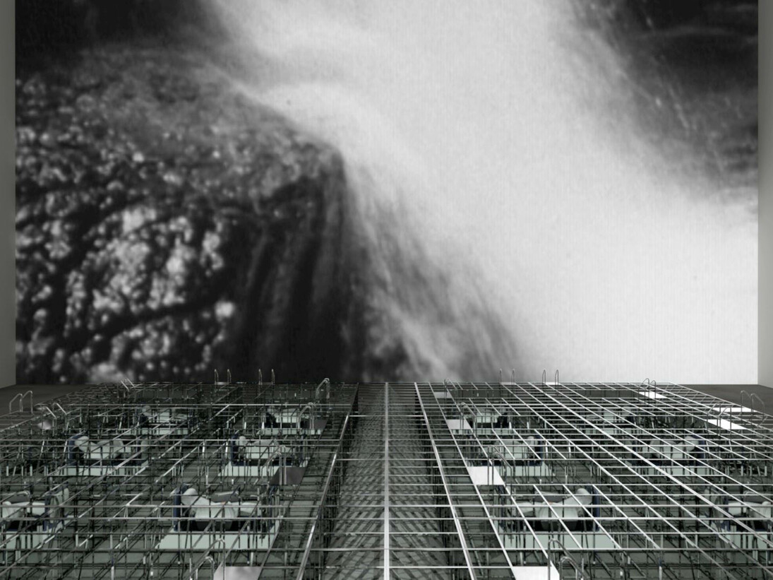 Still from the Wall for Loos’ video