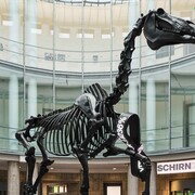 Hans Haacke, Ausstellungsansicht. Mit freundlicher Genehmigung der SCHIRN