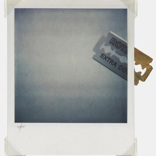 The Polaroid Project. Courtesy of Amon Carter Museum of American Art