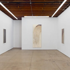 Seffa Klein, Sleeves, exhibition view. Courtesy of Wilding Cran Gallery