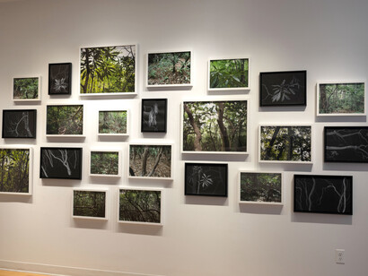 Hilary Tolan, In this Place, exhibition view. Courtesy the artist and Kingston Gallery
