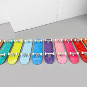 Xylophone
2020
acrylic on skateboards
80 × 300 cm
