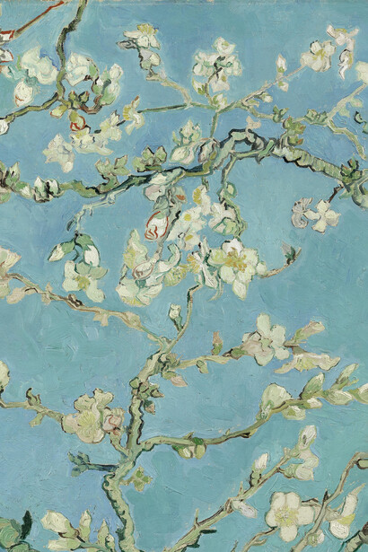 Vincent van Gogh, Almendro en flor (1890, detalle). El sabio consejo de mi madre rescató la enseñanza del almendro: Nunca el invierno tiene la última palabra y es una gran mentira que ya esté todo dicho…