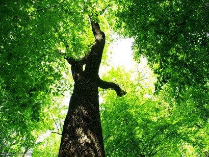 El reto de la sostenibilidad