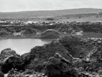 Thaddeus Holownia, Pont Rockland 1981-2000, 1981-2000