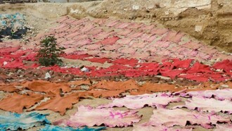 Tannery in Morocco. Skins in several colors