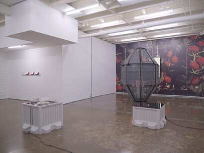 As Always, 2017, installation view, Courtesy of Pari Nadimi Gallery