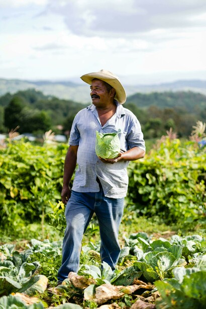 Granjero recorriendo su cosecha