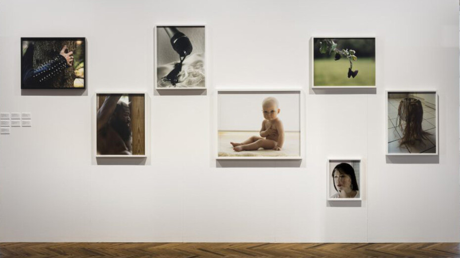 Torbjørn Rødland. Courtesy of Fondazione Prada Ossevetorio