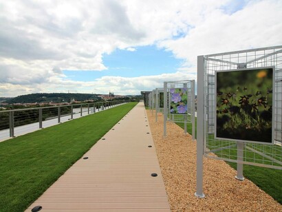 Views of Life, Roof Garden. Courtesy of National Museum of Agriculture