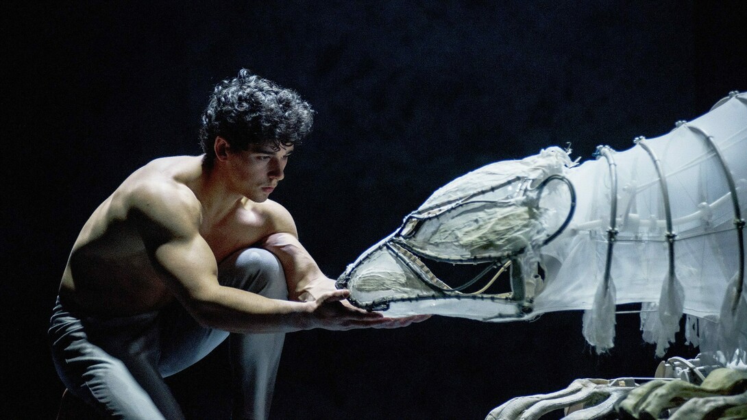 Recirquel Cirque Danse di Budapest, Solus amor.