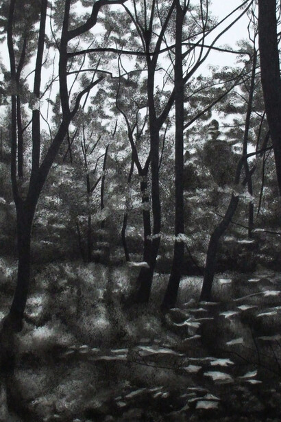 Amelia Tollerton, Woods at Dwygyfylchi (detail)