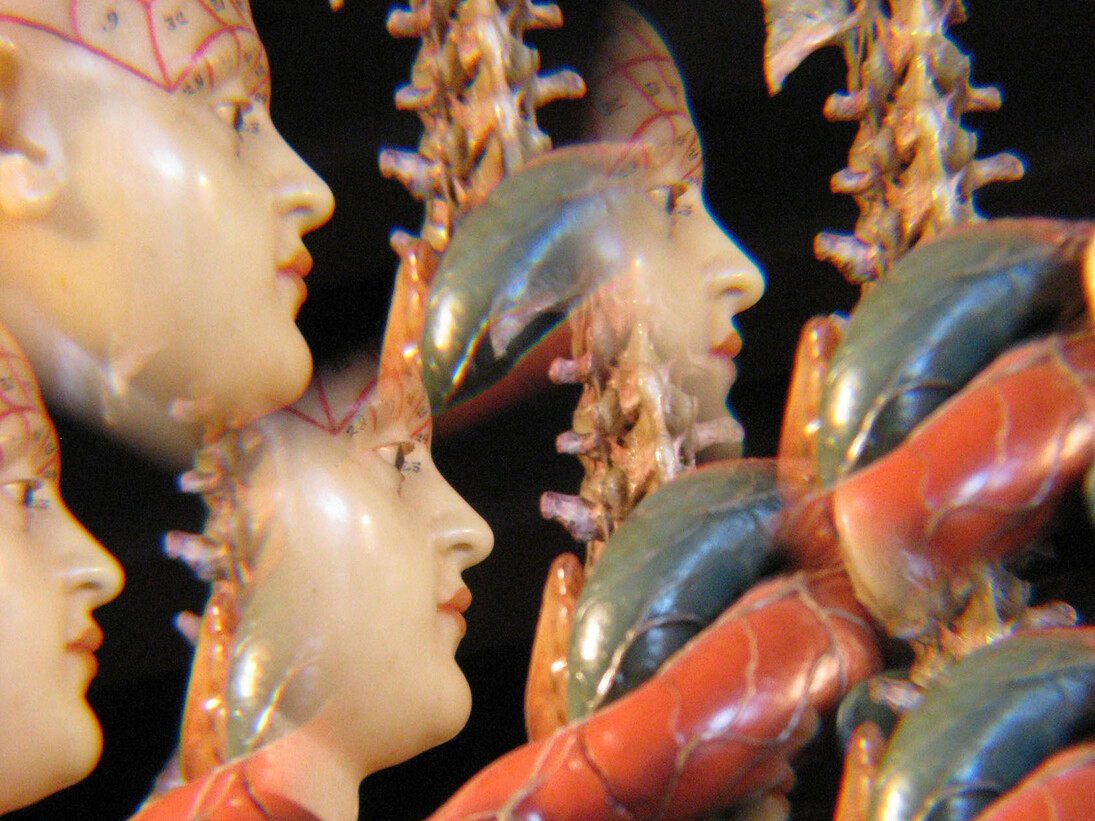 Beatrice M. Serpieri, Ai confini del sogno