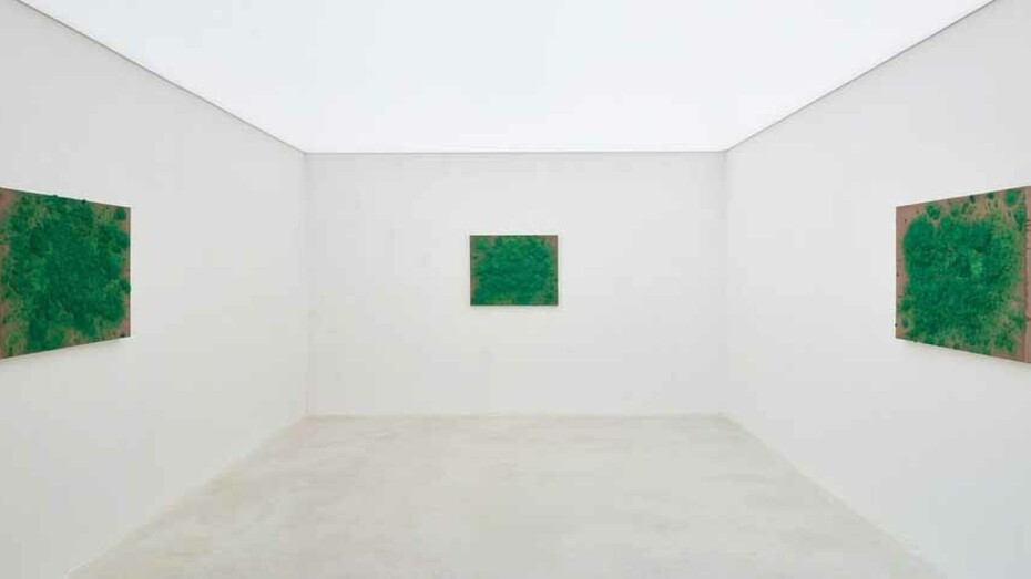 Bosco Sodi Sedimentos. Courtesy of Axel Vervoordt