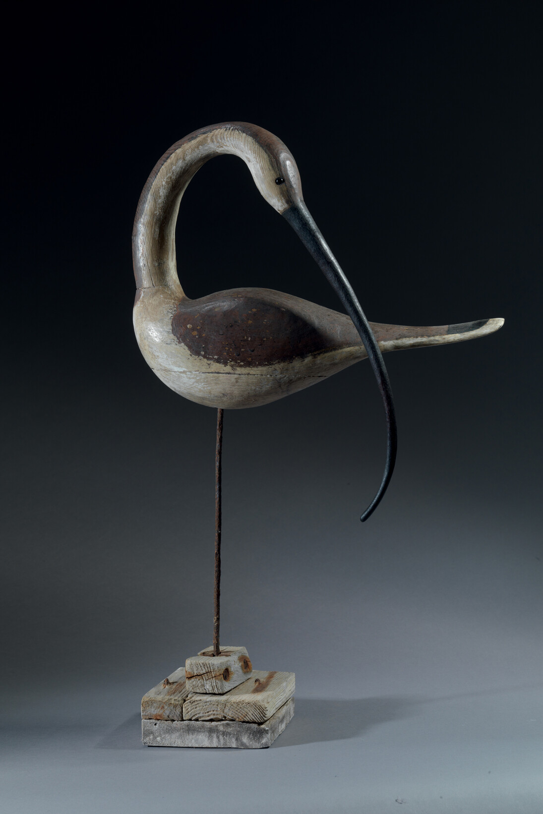 Guy Taplin, Preening Curlew I